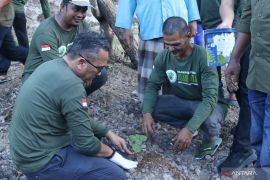 Sabang mulai budidaya tanaman nilam untuk tingkatkan ekonomi petani