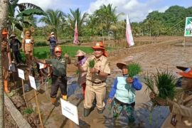 Pemkot Samarinda dan kodim kolaborasi  wujudkan lumbung pangan