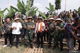 Mentan panen bawang merah di lahan tidur Bekasi perkuat ketahanan pangan