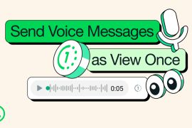 WhatsApp beta untuk Android uji kontrol privasi pada pembaruan status