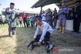Pelatihan penyembelihan hewan kurban di Indramayu