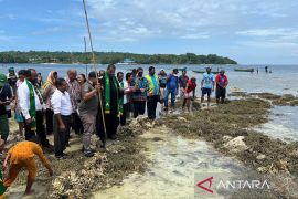 Sasi, tradisi unik warga Pulau Lemon jaga habitat bahari