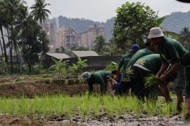 BMKG: Sekolah Lapang Iklim jadi solusi adaptasi perubahan iklim