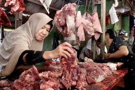 Pentingkah Ketahanan Pangan Berkelanjutan?