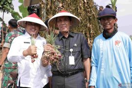 Panen raya bawang merah di lahan perkotaan bantu tekan inflasi di Kabupaten Bekasi
