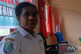 Mama-mama Papua di Sorsel ikut pelatihan menganyam-mewarnai Noken