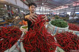 Harga cabai merah di Aceh naik jelang Idul Adha