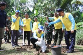 Pemkab Serang tanam 1.000 pohon di lahan kritis