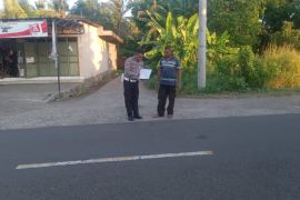 Seorang pejalan kaki luka berat akibat ditabrak motor di Sikka