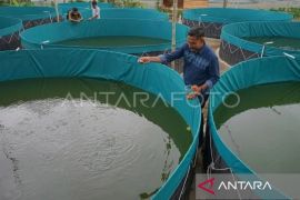 DPMG: Rp2,68 triliun Dana Desa 2024 sudah tersalurkan di Aceh