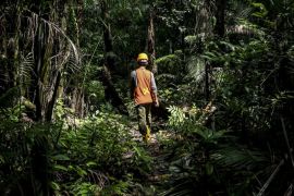 Indonesia Sentris : Perhutanan sosial yang berkelanjutan