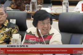 KLHK memproses status hutan adat untuk hutan primer di Boven Digoel