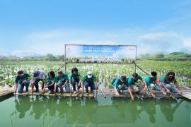 Jaga keseimbangan ekosistem, Suvarna Sutera tanam ribuan bibit pohon mangrove