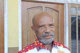 Pemkot Jayapura mengirim sampel darah ternak babi ke Makassar