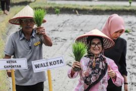 Kelompok Tani Satahi tanam perdana, Wali Kota Pematangsiantar berharap swasembada beras