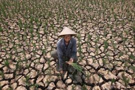 Indonesia Sentris : Mitigasi Perubahan Iklim dan Bencana Yang Berkelanjutan