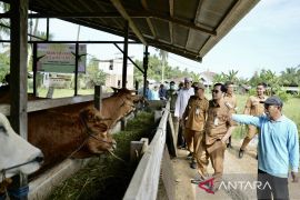 Pemkab HST siapkan 854 ekor hewan kurban untuk Idul Adha