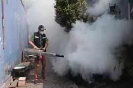 Plt Bupati Sidoarjo instruksikan pencegahan - pengendalian DBD