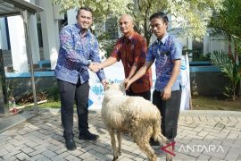 Perumda Tirta Kahuripan Bogor bagikan 79 hewan kurban pada idul Adha