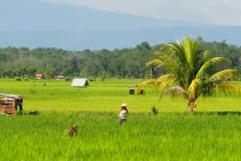 Pemprov Bengkulu percepat salurkan bantuan pompa antisipasi El Nino
