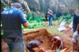 Pencari brondolan sawit ditemukan meninggal di PT AMP Plantation Agam