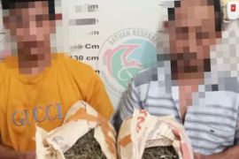 Polisi tangkap kakak beradik bawa 2 kg ganja di Aceh Tamiang