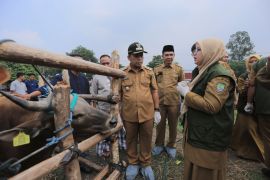 DKP Tangerang sosialisasi prosedur pemotongan hewan kurban ke DKM