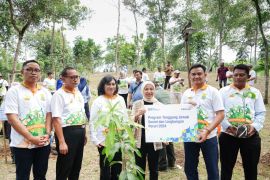 Peruri salurkan bantuan 335 bibit pohon dukung pengurangan emisi