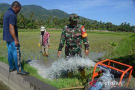 FOTO - Pompanisasi sawah terdampak kekeringan di Aceh Besar