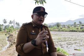 Padang tindak tegas ASN yang terindikasi bermain judi "online"