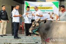 Serahkan hewan kurban, ini pesan Kajati Maluku