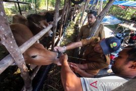  Kurban jadi salah satu solusi atasi masalah ekonomi masyarakat