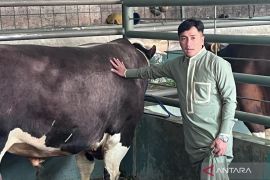 Artis Irfan Hakim berkurban sapi Bali dan Madura untuk dukung peternak lokal