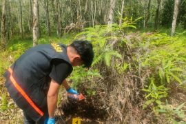 Polres Tabalong olah TKP penemuan bayi di Kecamatan Upau