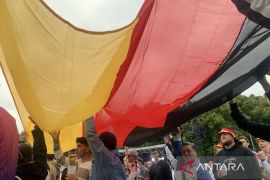 Suporter Jerman larut dalam euforia kemenangan telak atas Skotlandia