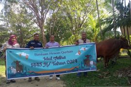 PT Timah serahkan 46 hewan kurban ke warga Bangka Barat