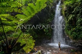 Sejarah merayakan keindahan alam lewat Hari Air Terjun Internasional setiap 16 Juni