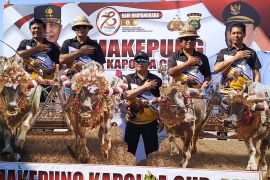 Bali celebrates Police Day with buffalo racing competition