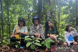 Hutan Wehea, warisan alam yang  terus dijaga kelestariannya