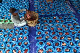 Permintaan daging kurban tinggi, Masjid Raya Banda Aceh butuh sumbangan sapi