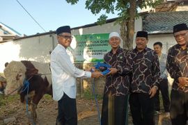 Pj Bupati Tulungagung serahkan sapi kurban ke MUI