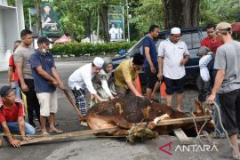 Di hari raya kurban,  Pengadilan Negeri Medan berbagi bersama masyarakat