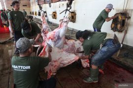 RPH Surabaya sebut penjualan hewan kurban meningkat