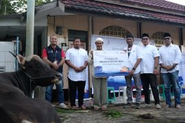 PT Telkomsel salurkan hewan kurban lima lokasi di Tanah Papua