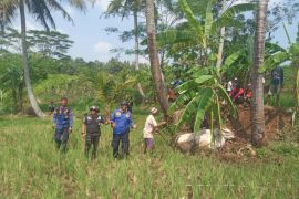 Damkar Kuningan buka layanan penanganan sapi kurban mengamuk