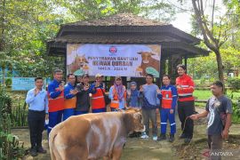 Indocement bagikan ratusan hewan kurban ke masyarakat desa mitra