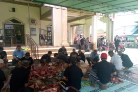 Sintang salurkan 298 hewan kurban pada perayaan Idul Adha 1445 H
