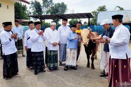Pemkab Situbondo salurkan 43 ekor hewan kurban ke masjid dan ponpes