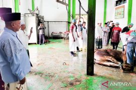 Pastikan prosedur, Bupati Situbondo tinjau lokasi penyembelihan kurban