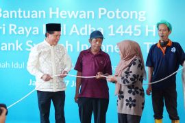 BSI mendistribusikan 9.390 hewan potong sehat untuk dhuafa di berbagai wilayah